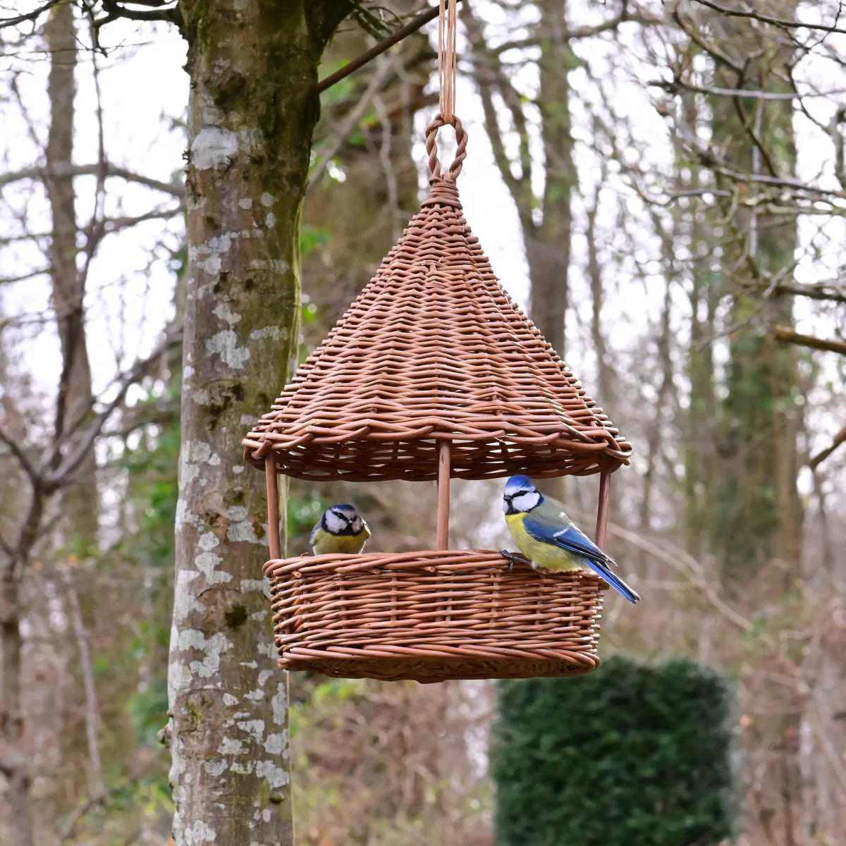 Bird feeders