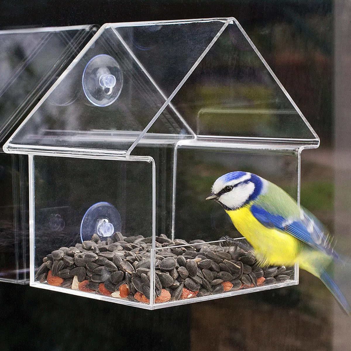 Window birdfeeder