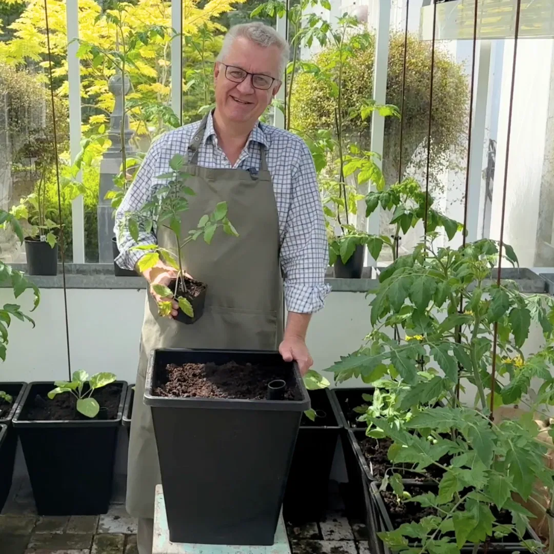 Self watering